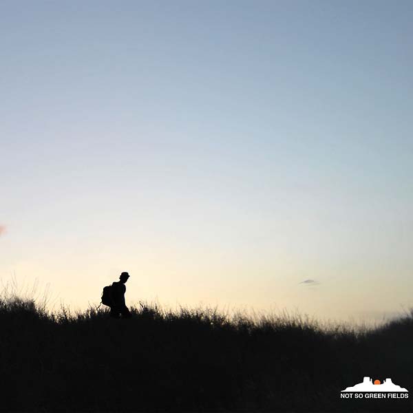 DUSTY KID - Not So Green Fields [Vinyl]