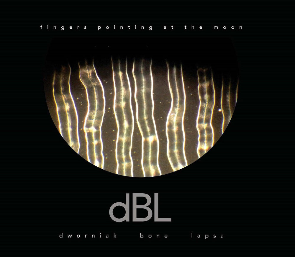 Dworniak Bone Lapsa - Fingers Pointing At The Moon [Vinyl] (ONLINE ORDER ONLY)