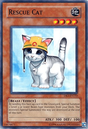 Rescue Cat [DR3-EN153] Common (ONLINE ORDER ONLY)