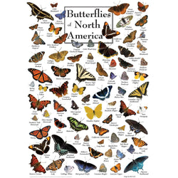 Butterflies of North America 1000 Piece Jigsaw Puzzle (ONLINE ORDER ONLY)