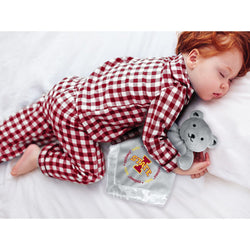 Iowa State Cyclones - Security Bear Gray (ONLINE ORDER ONLY)