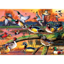 Audubon - Autumn Feathers 1000 Piece Jigsaw Puzzle (ONLINE ORDER ONLY)