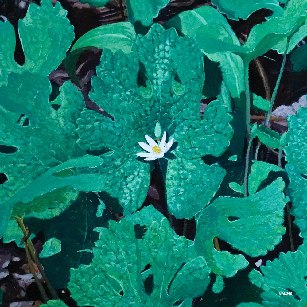 Wetland Interiors [Vinyl] (ONLINE ORDER ONLY)