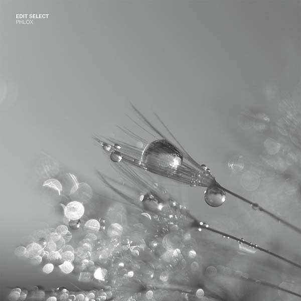 EDIT SELECT - Phlox [Vinyl]