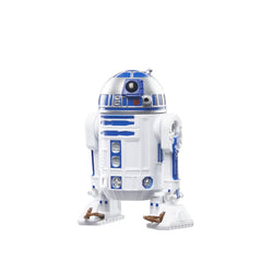 Star Wars The Vintage Collection 3 3/4-Inch Artoo-Detoo (R2-D2) Action Figure (Online Order Only)