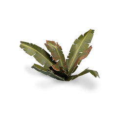 Gamers Grass Laser Plants: Banana Tree (ONLINE ORDER ONLY)