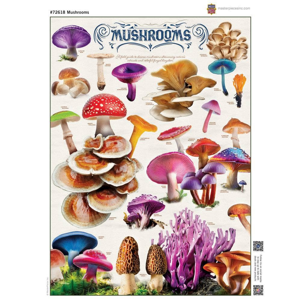 Field Guide - Mushrooms 1000 Piece Jigsaw Puzzle (ONLINE ORDER ONLY)