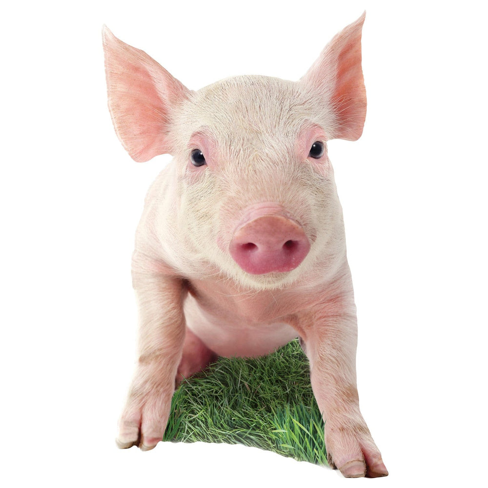 Pig 100 Piece Shaped Jigsaw Puzzle (ONLINE ORDER ONLY)