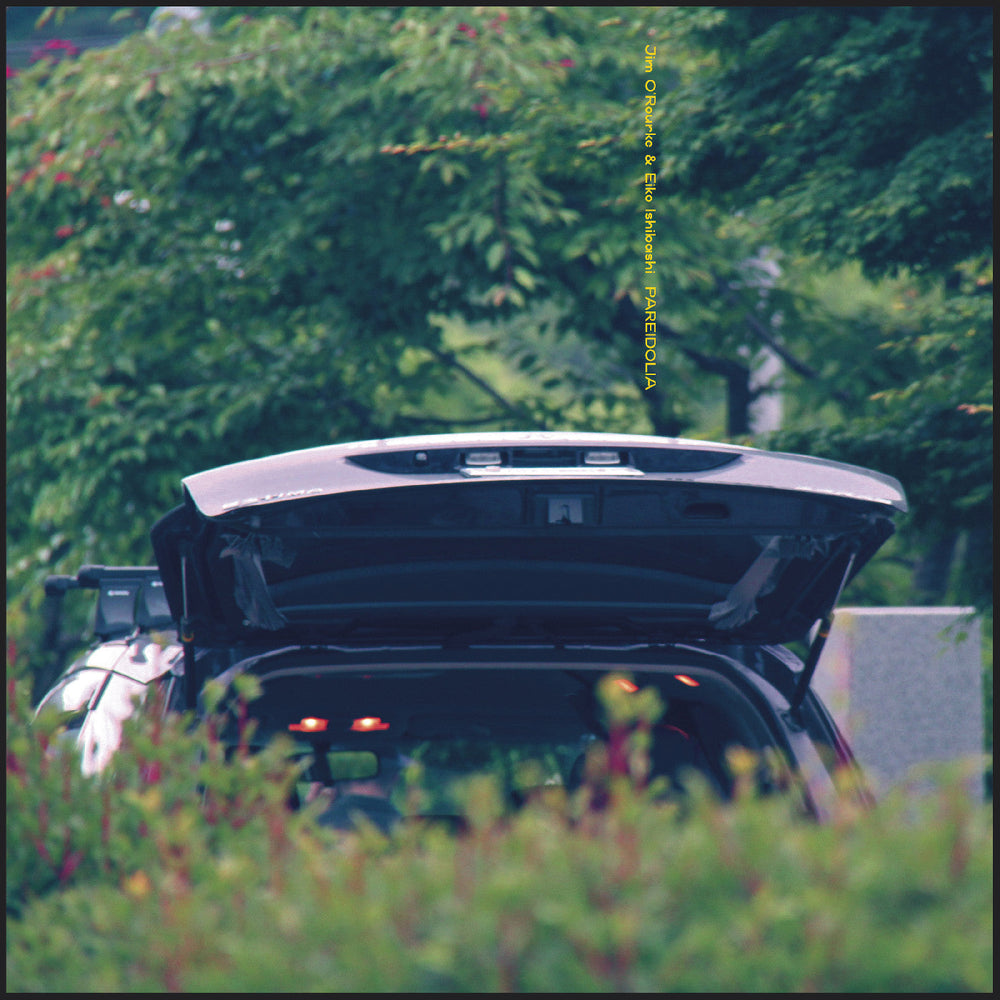 Pareidolia [Vinyl] (ONLINE ORDER ONLY)