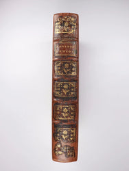 Elements of Newtonian Philosophy (French Translation) (ONLINE ORDER ONLY)