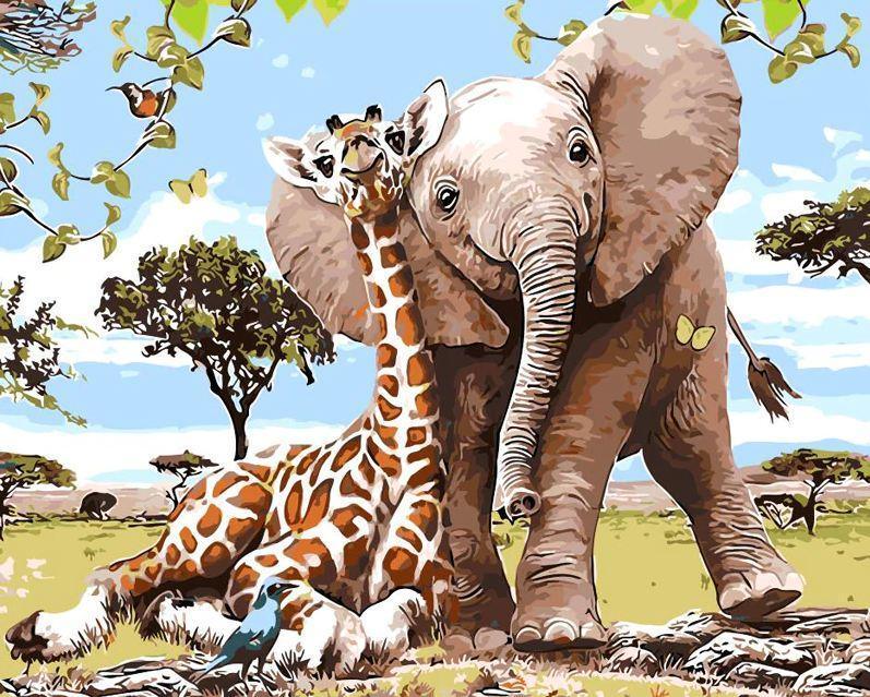 Elephant and Giraffe Safari (ONLINE ORDER ONLY)