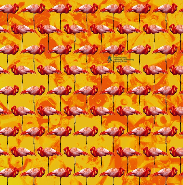 ELEPHANT CHATEAU - Dreamings & Offshore Drilling - Pearls And Turtles [Vinyl]