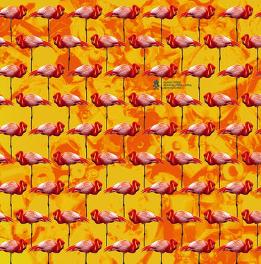 ELEPHANT CHATEAU - Dreamings & Offshore Drilling - Pearls And Turtles [Vinyl]