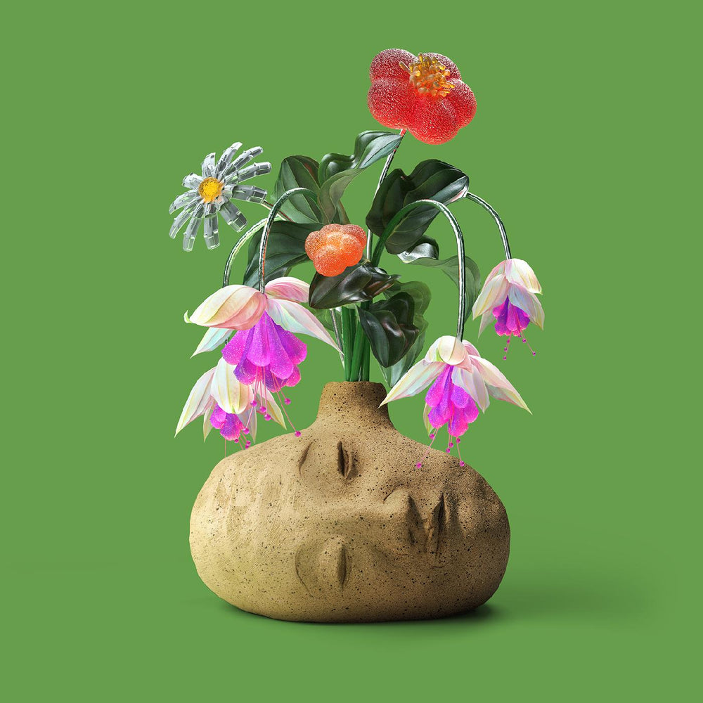 Dreams ("Flower Petal" Fuschia Vinyl) [Vinyl] (ONLINE ORDER ONLY)