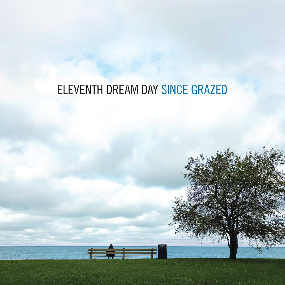 Eleventh Dream Day - Since Grazed [Vinyl] (ONLINE ORDER ONLY)