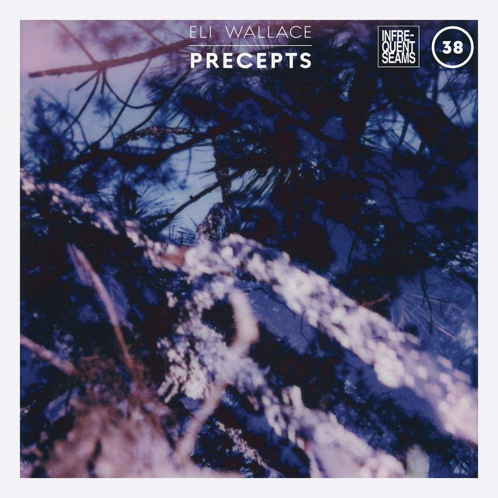 Eli Wallace - Precepts [Cassette] (ONLINE ORDER ONLY)