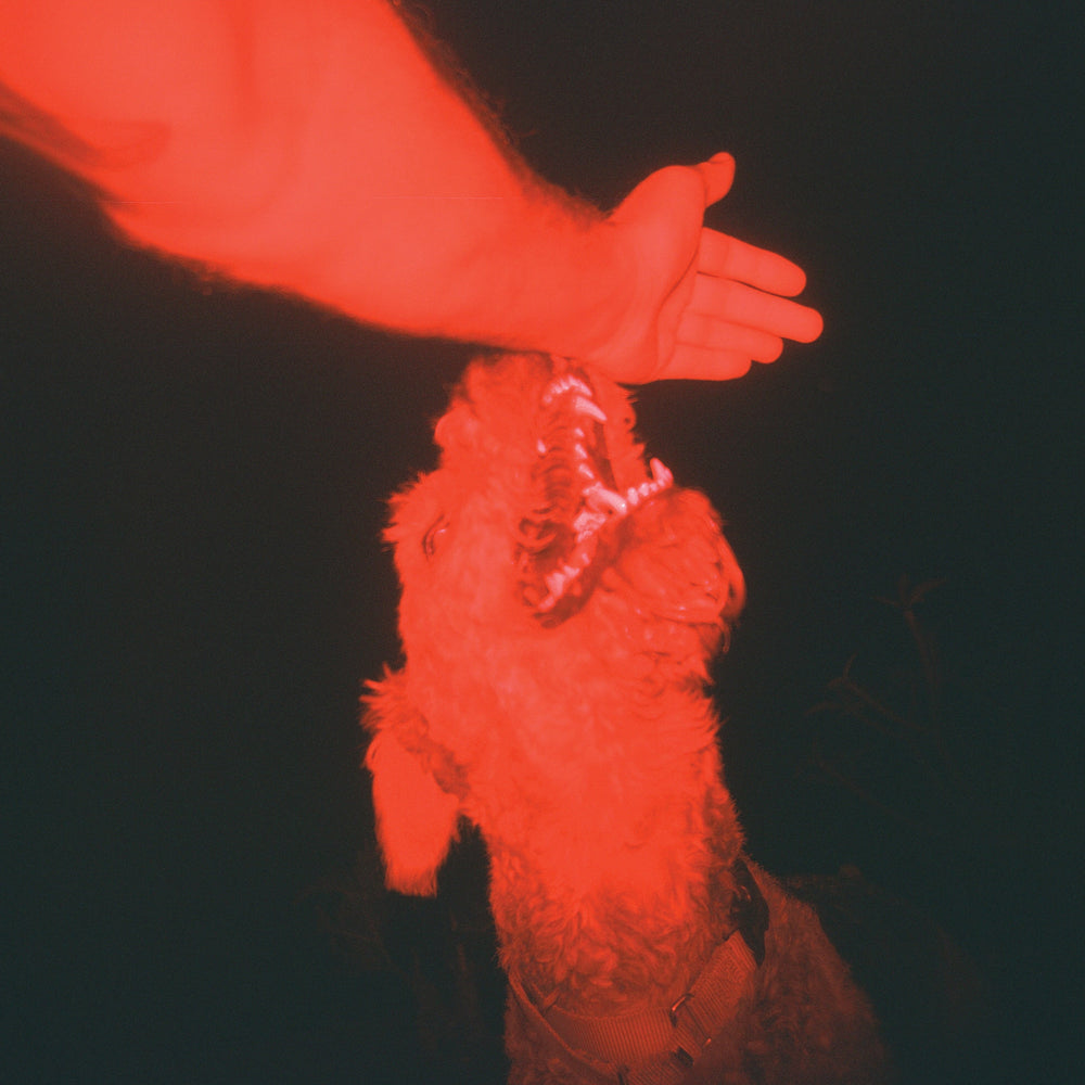 A Trick Of The Light ("Optical Illusion" Transparent Red Vinyl) [Vinyl] (ONLINE ORDER ONLY)