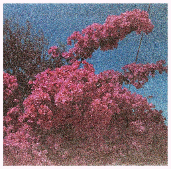 ELISABETH KLINCK - Picture a Frame [Vinyl] (ONLINE ORDER ONLY)