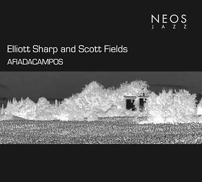 ELLIOTT SHARP & SCOTT FIELDS - Afiadacampos [CD] (ONLINE ORDER ONLY)