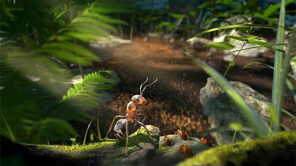 Empire of the Ants - PC (ONLINE ORDER ONLY)