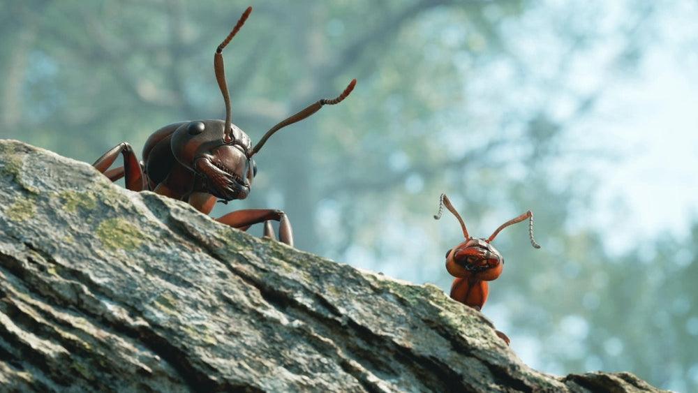 Empire of the Ants - PC (ONLINE ORDER ONLY)