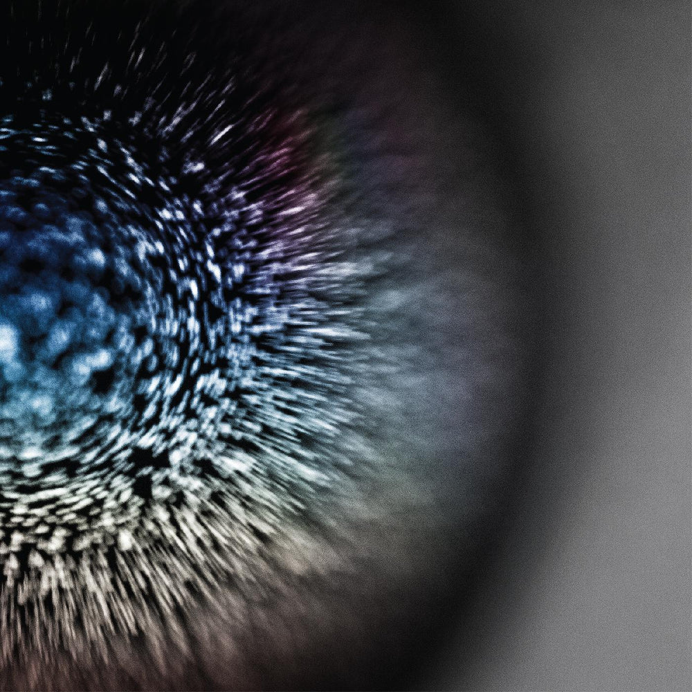Emptyset - Blossoms [Vinyl] (ONLINE ORDER ONLY)