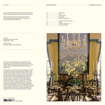 ENTIDAD ANIMADA - Pruebas de existencia [Vinyl] (ONLINE ORDER ONLY)