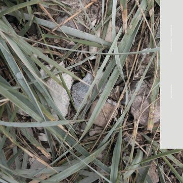 Erik Enocksson - Farval Falkenberg [Vinyl] (ONLINE ORDER ONLY)