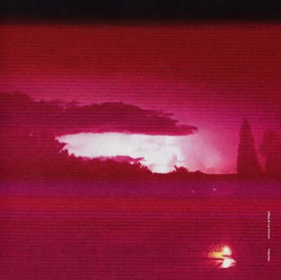 ERIKM & LUC FERRARI - Visitation [Vinyl] (ONLINE ORDER ONLY)