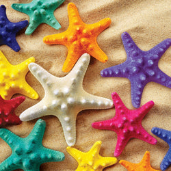 Starfish 100 Piece Jigsaw Puzzle (ONLINE ORDER ONLY)