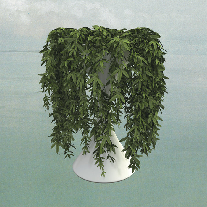 Errors - Lease Of Life [CD] (ONLINE ORDER ONLY)