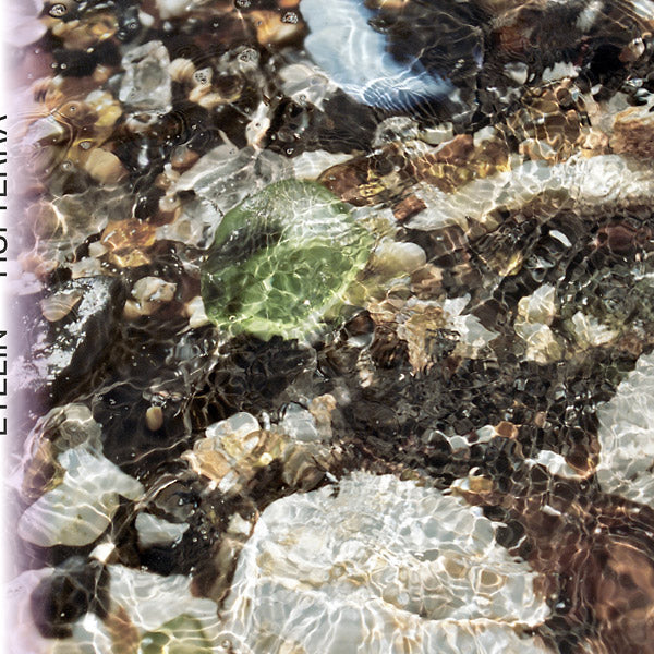 Hui Terra [Vinyl] (ONLINE ORDER ONLY)