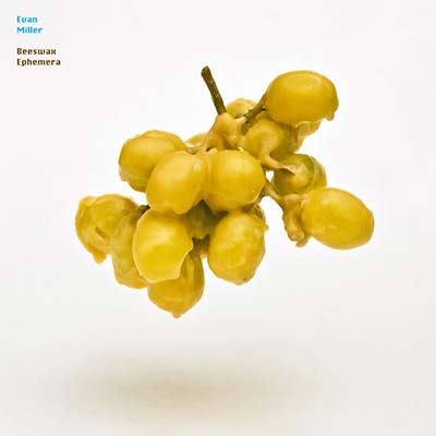 Beeswax Ephemera [CD]