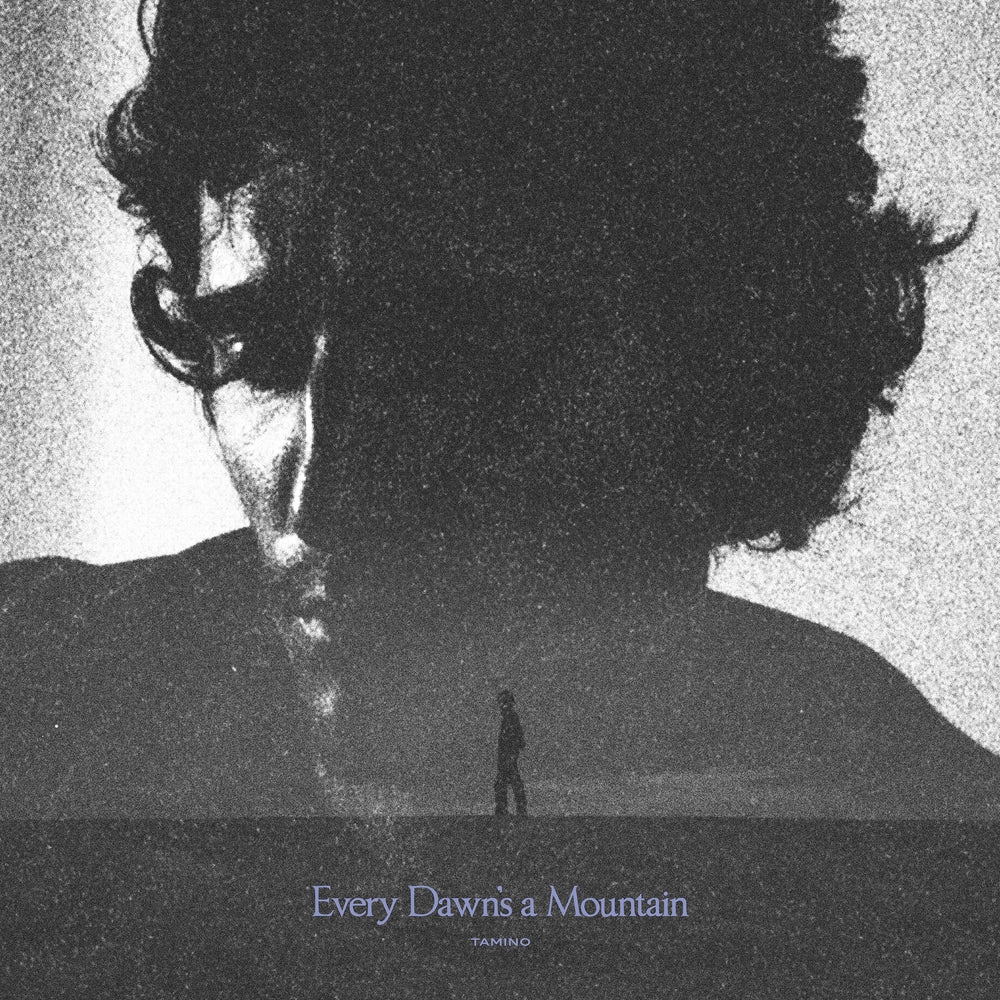 Every Dawn's a Mountain (Black & Silver Marbled) [Vinyl]
