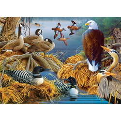 Audubon - Lake Life 1000 Piece Jigsaw Puzzle (ONLINE ORDER ONLY)