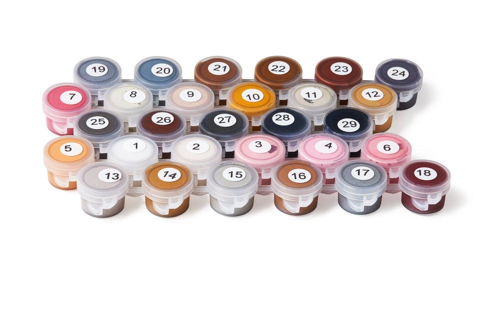 Extra Painting (Online Order Only)