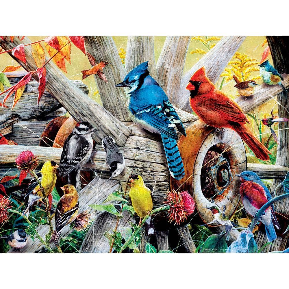 Audubon - Backyard Birds 300 Piece EZ Grip Jigsaw Puzzle (ONLINE ORDER ONLY)