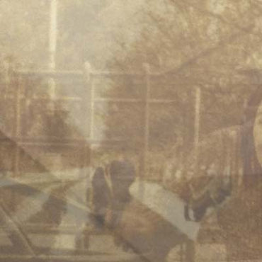 EZEKIEL HONIG - Folding In On Itself [CD] (ONLINE ORDER ONLY)