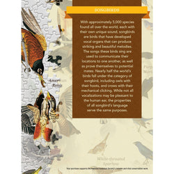 Audubon - Songbirds 1000 Piece Jigsaw Puzzle (ONLINE ORDER ONLY)