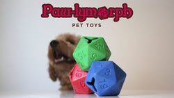 Paw-lymorph D20 Dog Toy: Blue (ONLINE ORDER ONLY)