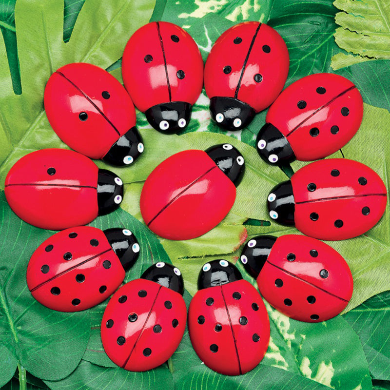 0-10 Tactile Ladybugs Stones Set/22 (ONLINE ORDER ONLY)