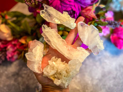 FADEN Tabby quartz (ONLINE ORDER ONLY)