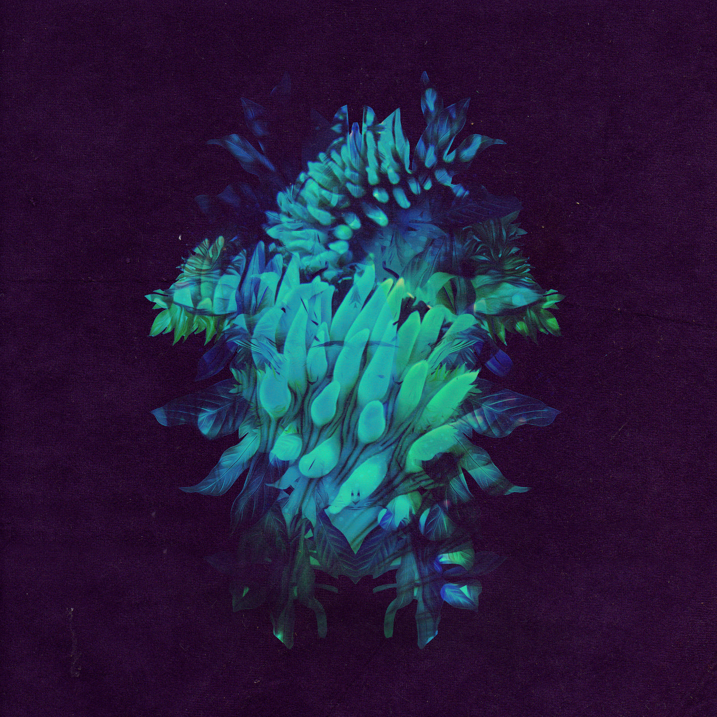 Fakear - All Glows [CD] (ONLINE ORDER ONLY)