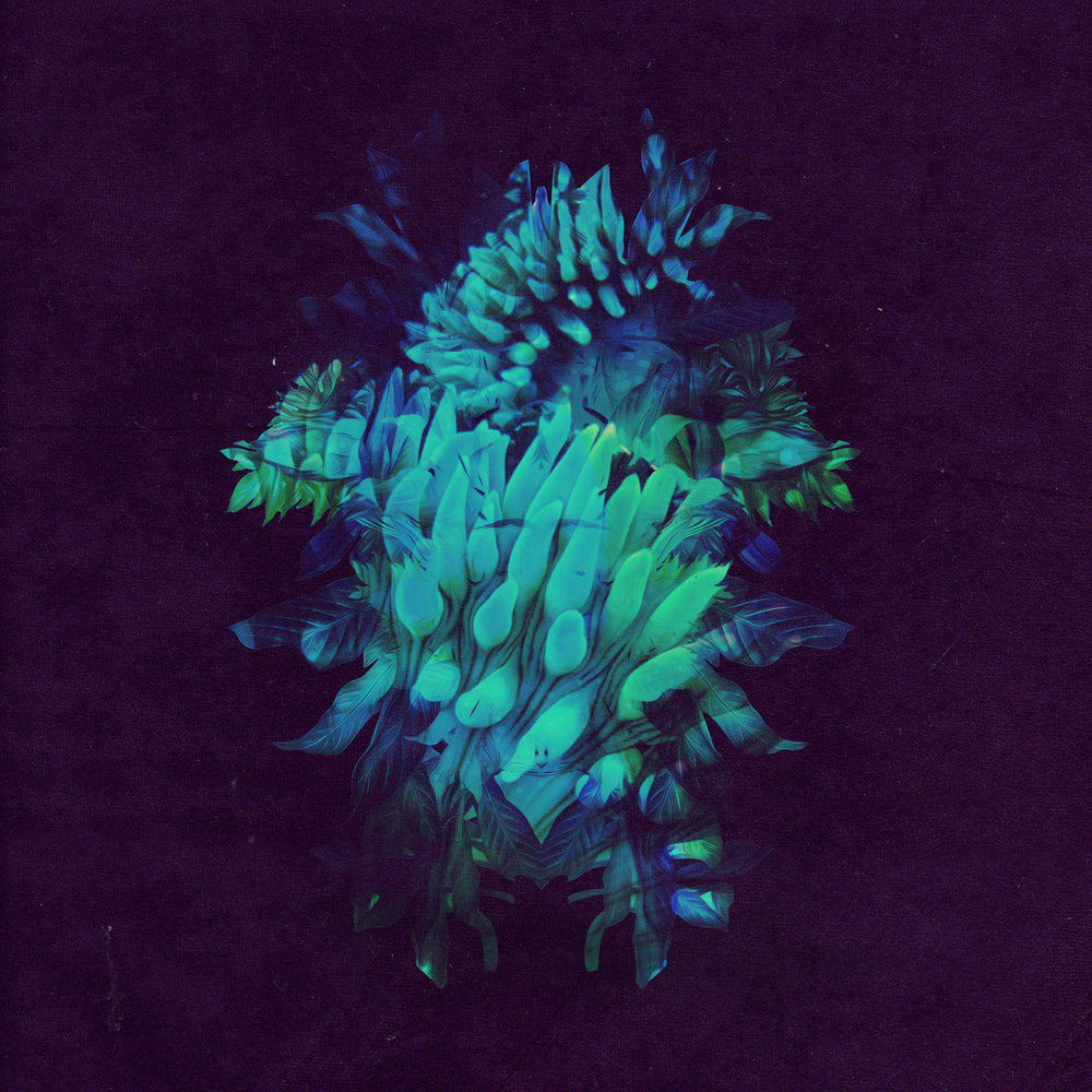 Fakear - All Glows [CD] (ONLINE ORDER ONLY)