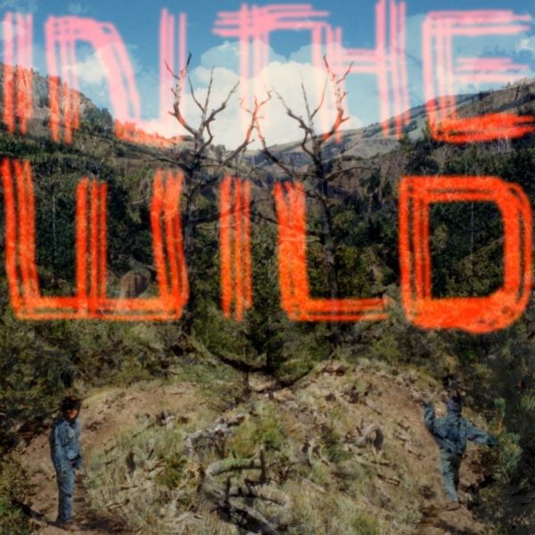FaltyDL - In The Wild [Vinyl]