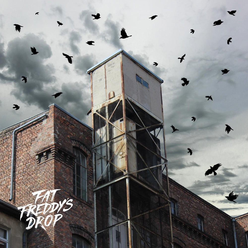 Fat Freddy's Drop - Blackbird Returns [Vinyl]