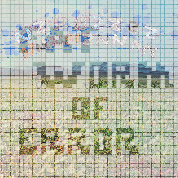 Nzznzzzznnznznnn [Vinyl]