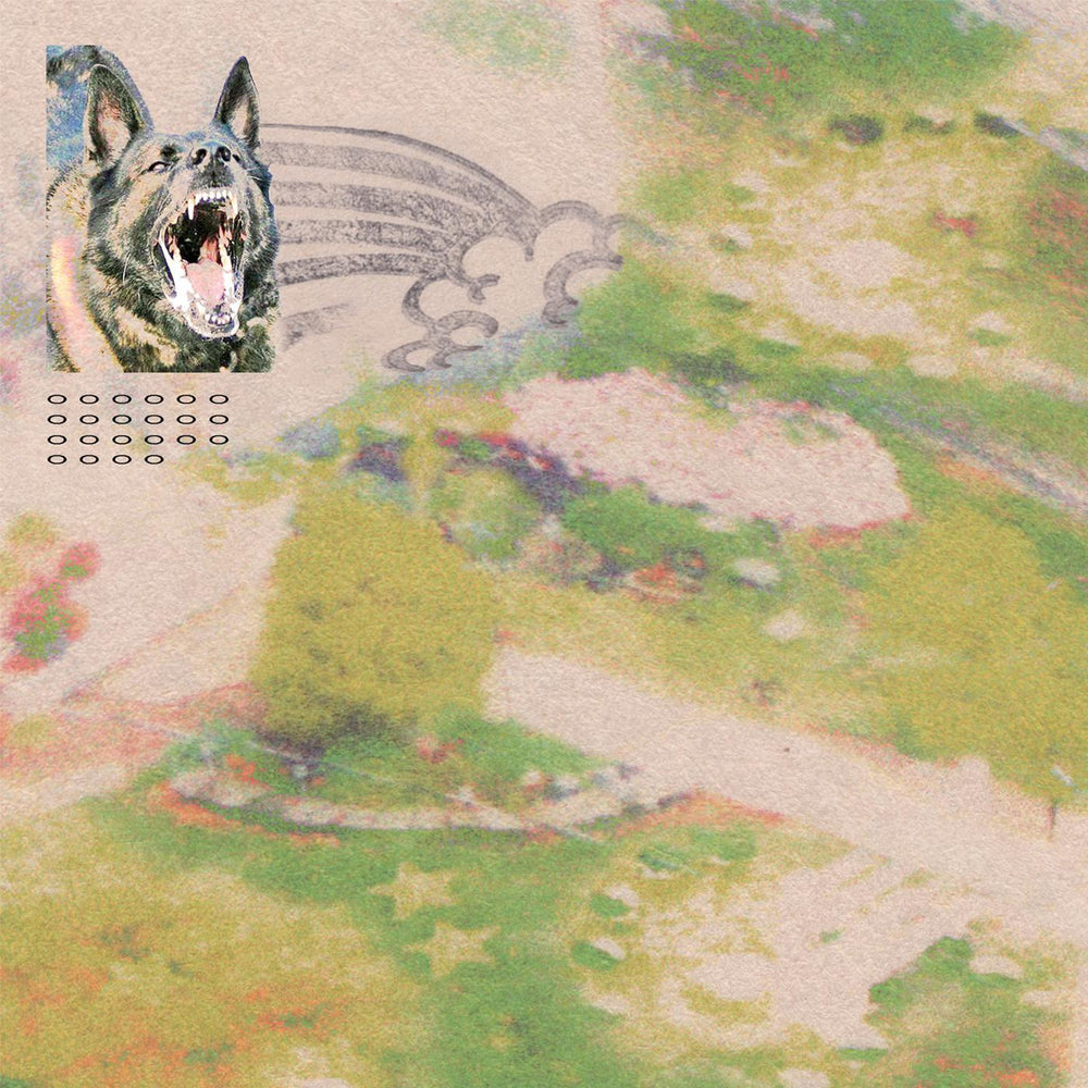 Girl with Fish [CD] (ONLINE ORDER ONLY)