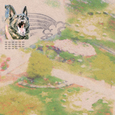 Girl with Fish [CD] (ONLINE ORDER ONLY)