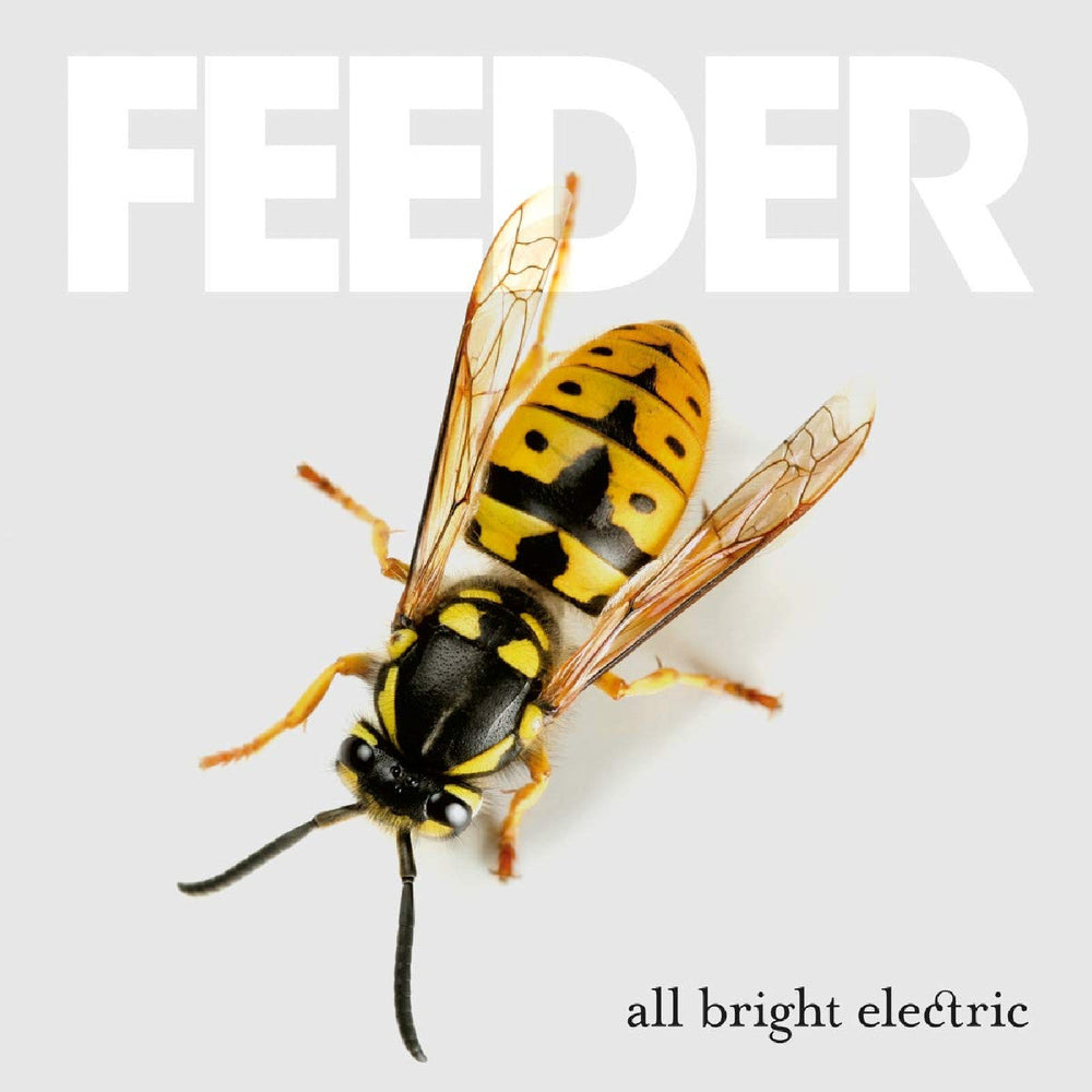 All Bright Electric (Deluxe Edition) [Vinyl] (ONLINE ORDER ONLY)